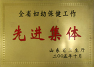 婦幼保健先進(jìn)集體