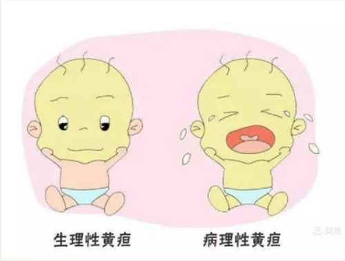 微信圖片_20211118084227.png