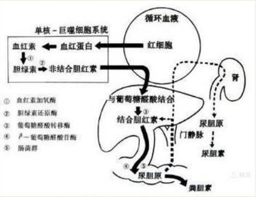 微信圖片_202111180842272.png