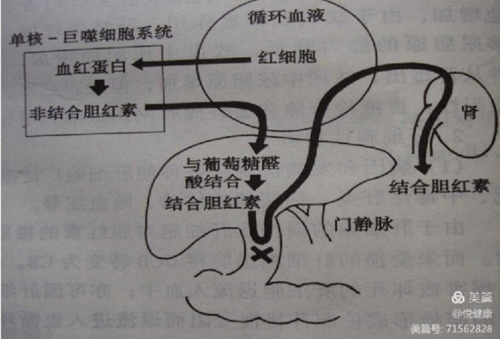 微信圖片_202111180842276.png