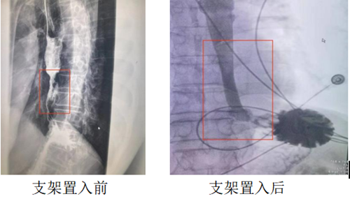 微信圖片_20220609161249.png