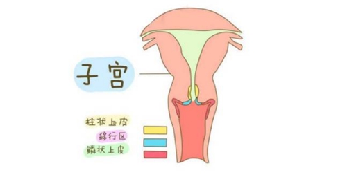 微信圖片_20230213083134.jpg