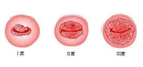 微信圖片_20230213083137.jpg