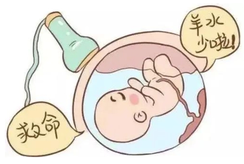 微信圖片_20230220085102.jpg