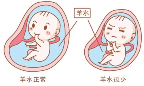 微信圖片_20230220085106.jpg