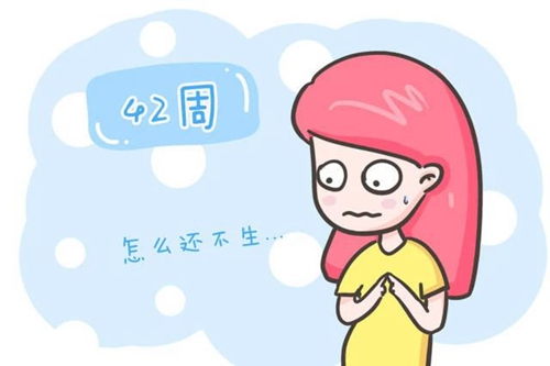 微信圖片_20230503183225.jpg