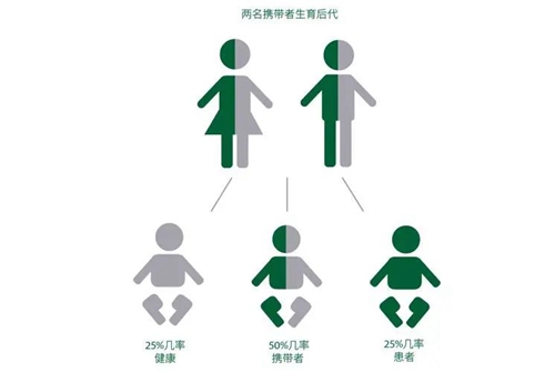 微信圖片_20230726175632.jpg