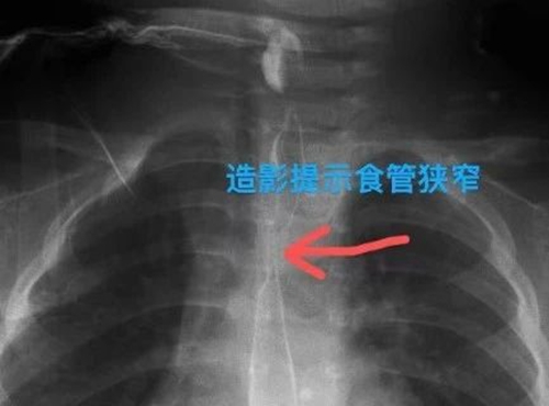 微信圖片_20230727172303.jpg
