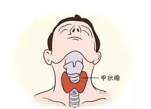 微信圖片_20230815161023.jpg
