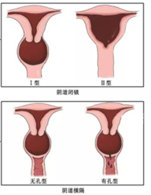 微信圖片_20230817083430_1.jpg