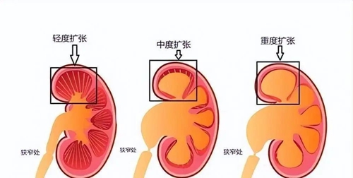 微信圖片_20230825163359.jpg