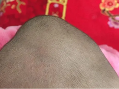 微信圖片_20231016081517.png