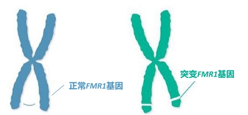 微信圖片_20240109081516.jpg