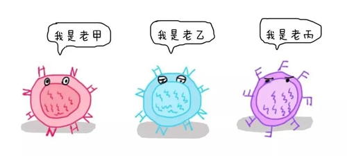 微信圖片_20240116081029.jpg