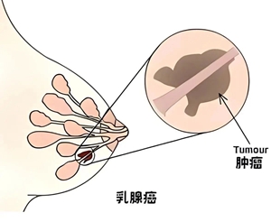 微信圖片_20240131160916.jpg