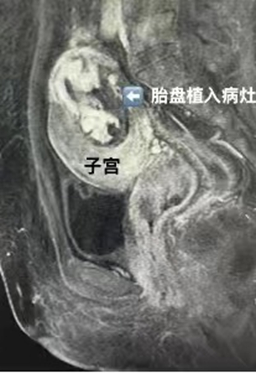 微信圖片_20240301162605.jpg