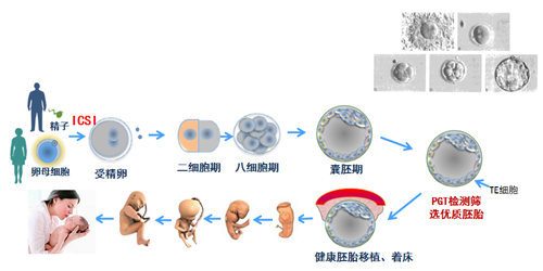 微信圖片_20240306151745.png