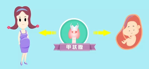 微信圖片_20240314083441.jpg