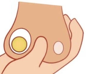 微信圖片_20240326211351.png