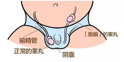 微信圖片_20240326211442.png
