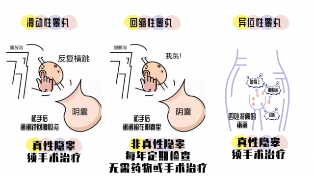 微信圖片_20240326211613.png
