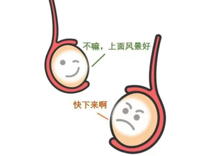 微信圖片_20240326211527.png