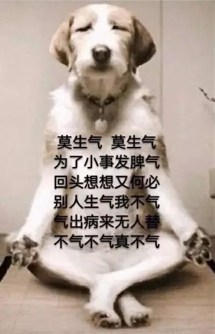 微信圖片_20240402082446.jpg