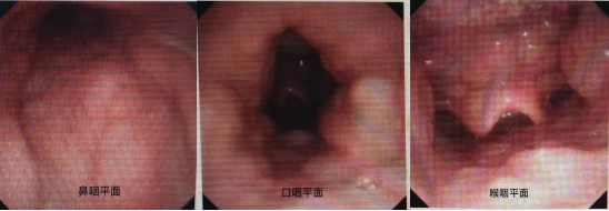微信圖片_20240423144658.png