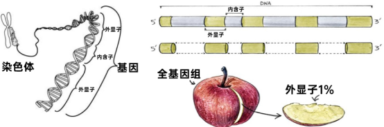 微信圖片_20240425165234.png