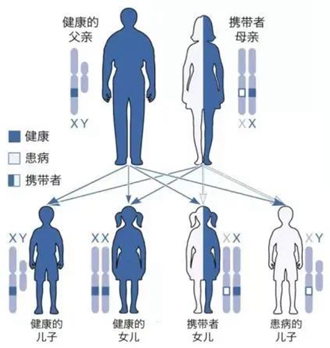 微信圖片_20240507081008.jpg