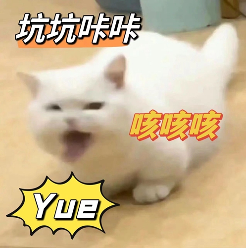 微信圖片_20240509084001.jpg