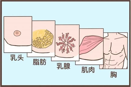 微信圖片_20240509084507.jpg