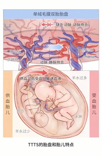 微信圖片_20240523081717.jpg