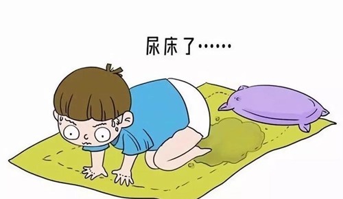 微信圖片_20240529081301.jpg