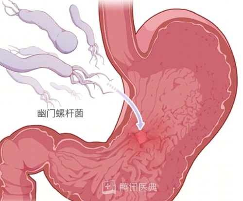 微信圖片_20240604080707.jpg