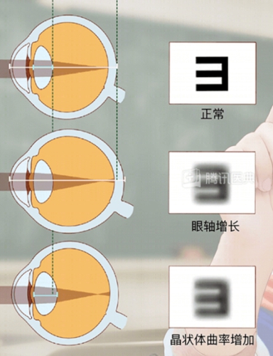 微信圖片_20240611080841.jpg