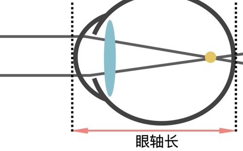 微信圖片_20240611080857.jpg