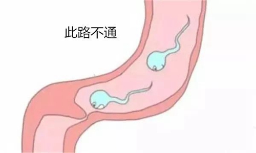 微信圖片_20240723090847.jpg