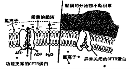 微信圖片_20240723090905.jpg