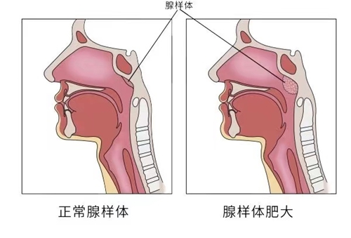 微信圖片_20240812083220.jpg