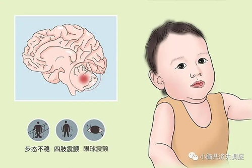 微信圖片_20241012082411.jpg