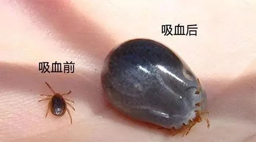 微信圖片_20241021081453.png