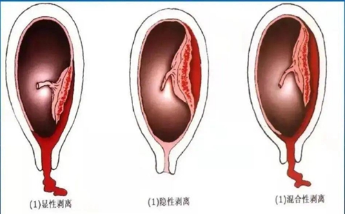 微信圖片_20241106080948.jpg