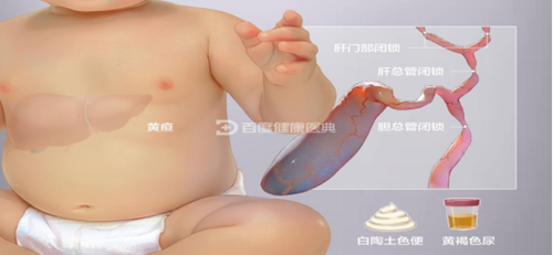 微信圖片_20241120084746.png