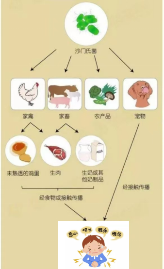 微信圖片_20241202082551.png