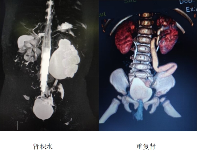 微信截圖_20250310170109.png
