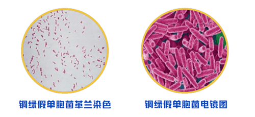 微信圖片_20250610180959.png